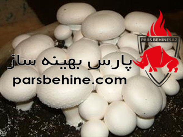 عایق حرارتی پلی یورتان-پرورش قارچ عایق حرارتی پلی یورتان-پرورش قارچ